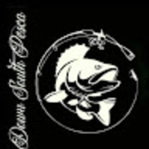 Meet your Posher, Gabriel